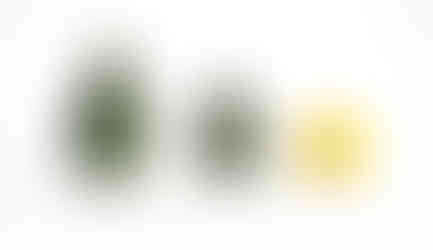 Picture of Some gourds