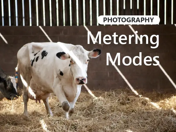 Camera metering modes example.