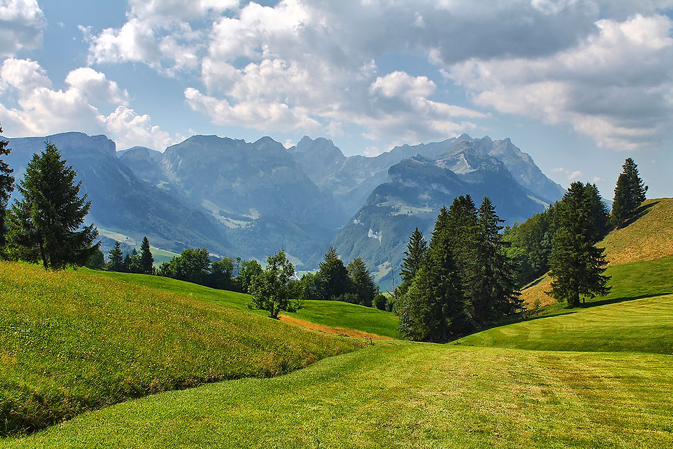 A picturesque view of the lush green meadows and majestic mountains in Appenzell, Switzerland, under a partly cloudy sky.
