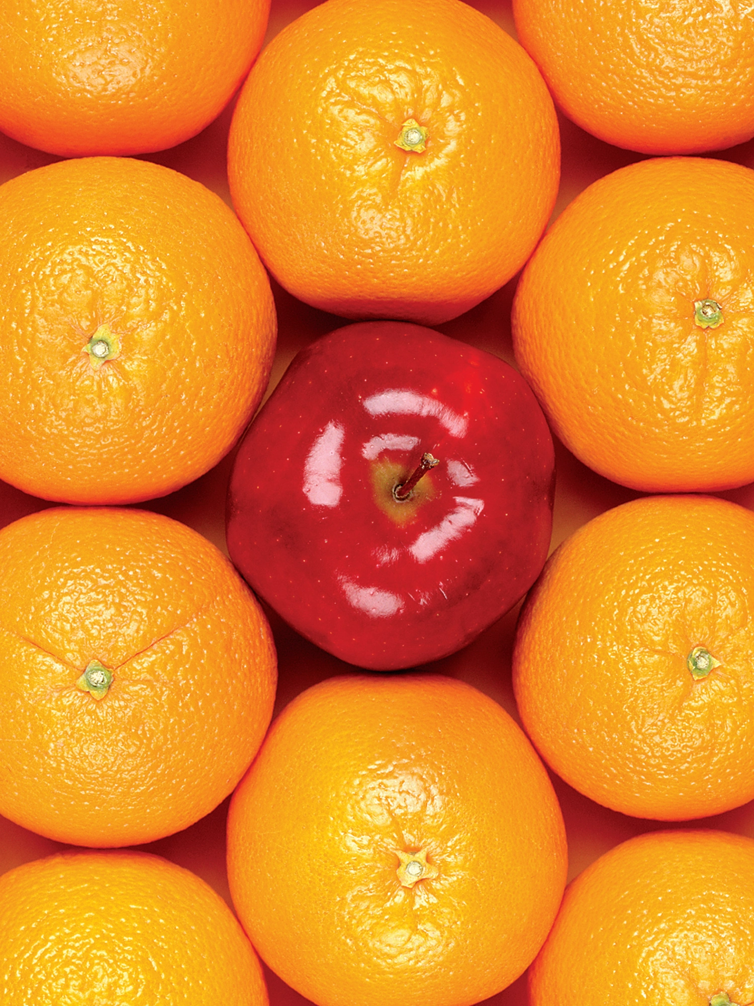 A bright red apple is centered among multiple oranges against a yellow background.
