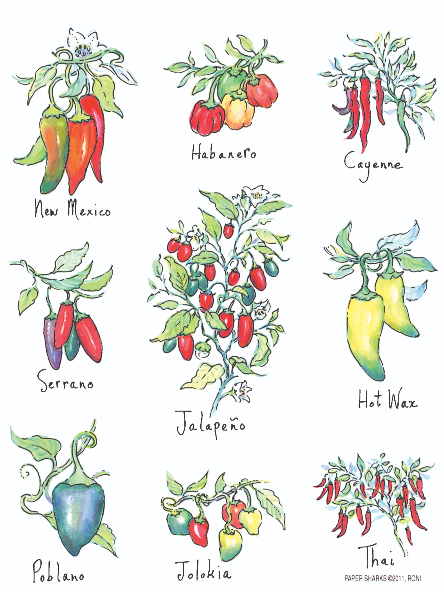 RS129  Chiles on the Vine Apron