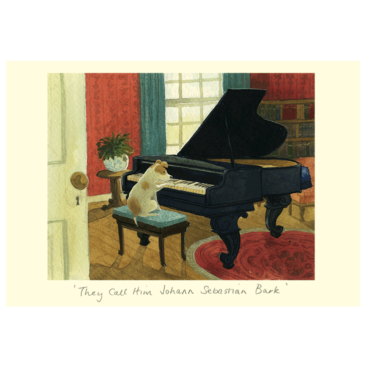 IA65 - Johann Sebastian Bark
