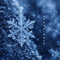 [자켓최종]퍼플제이(Purple J)-눈꽃(Snowflower).jpg