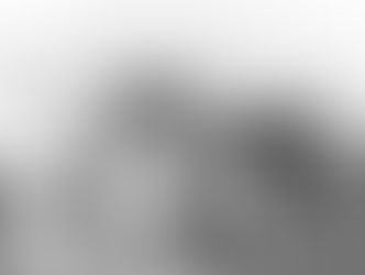 The History of Everglades Restoration