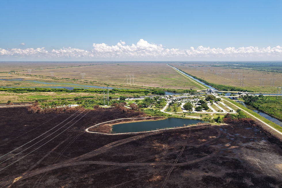 Aerial view of a vast Everglades landscape with a canal and power lines. Patches of burned ground contrast with green vegetation under a blue sky.