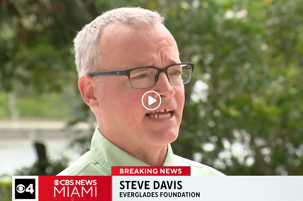 Close-up of The Everglades Foundaiton's Chief Science Officer Steve Davis speaking outdoors on CBS Miami breaking news, with Everglades Foundation and CBS Miami graphics.