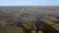 Dozens of cold records broken as snow flies and crops freeze in Florida