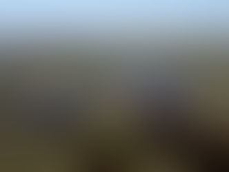 Governor DeSantis' State of the State Highlights Restoration Progress