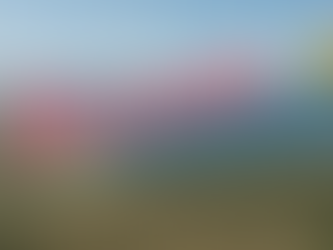 Holding Water, Healing the Everglades: Why Reservoirs Are Fundamental to Restoration