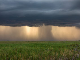 The Season of Waiting: Drought in the Land of Water  