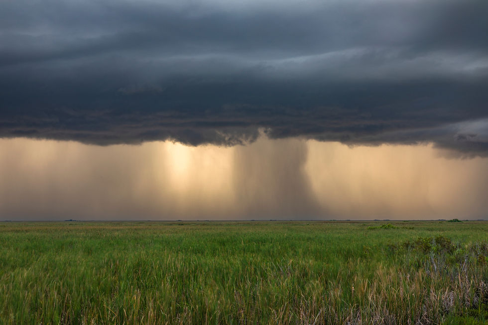 The Season of Waiting: Drought in the Land of Water  