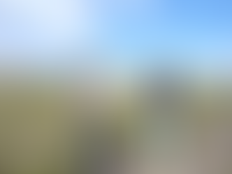 Una mirada al interior del proyecto del embalse de los Everglades