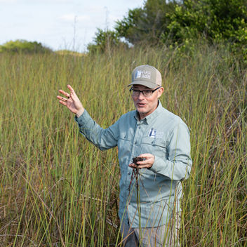 ‘A python in the water’: South Florida researchers sound alarm on invasive species