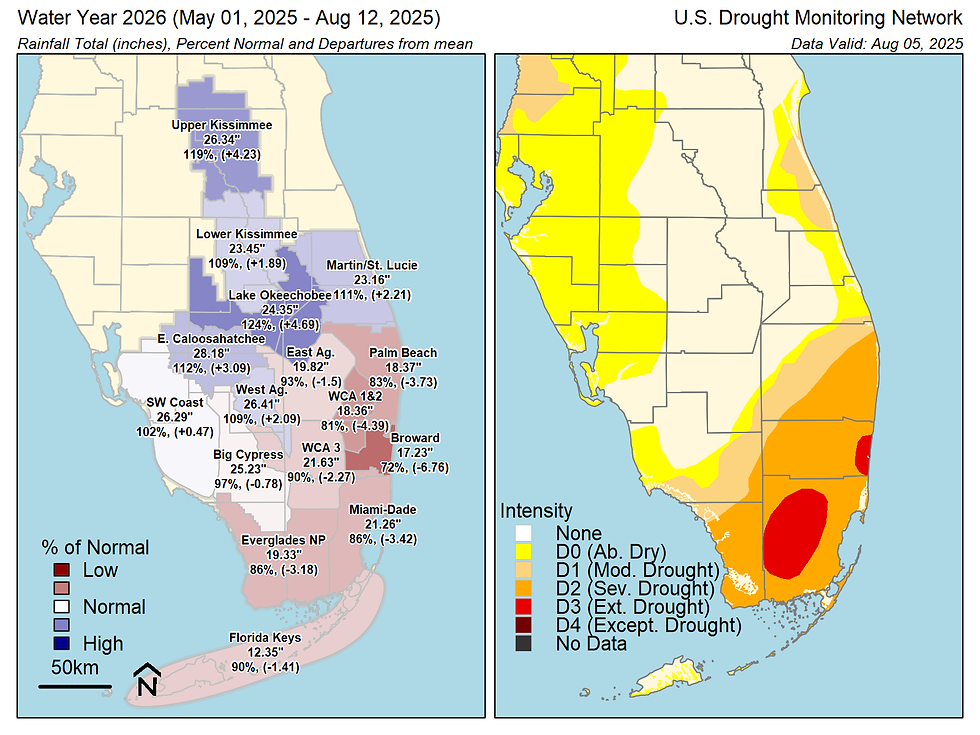 (Left) Rainfall total to date for the water year (May – April), percent normal, and departure from long-term mean metrics for each major basin in the South Florida Water Management District. (Right) Drought intensity metric from the U.S. Drought Monitoring Network.