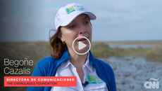 Misión Everglades: este es el monumental plan para salvar un ecosistema único en el corazón de la Florida
