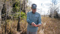 Restoring the River of Grass: What 25 Years of Work Has Revealed