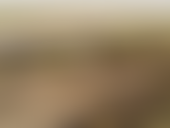 Update on Proposed 8,500-acre Rock Mine Adjacent to EAA Reservoir