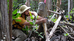 Investing in the Future of the Everglades: Meet the 2025-26 ForEverglades Fellows
