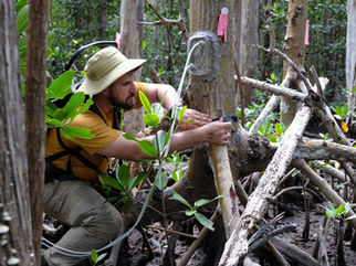 Investing in the Future of the Everglades: Meet the 2025-26 ForEverglades Fellows