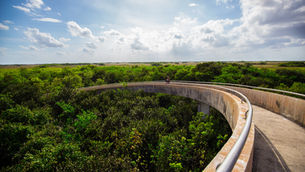 Official Statement on Florida's FY25-26 Budget for Everglades Restoration
