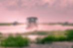 Airboats speed through misty water in the Florida Everglades. The scene exudes motion and serenity.