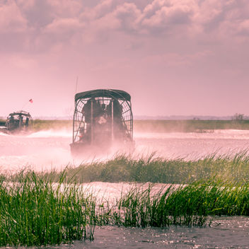 Airboats speed through misty water in the Florida Everglades. The scene exudes motion and serenity.