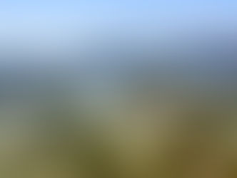 THE EVERGLADES FOUNDATION TEAMS WITH GRIZZLY CREEK FILMS ON IMAX FILM SPECTACLE