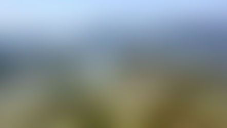 THE EVERGLADES FOUNDATION TEAMS WITH GRIZZLY CREEK FILMS ON IMAX FILM SPECTACLE