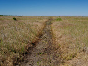 ‘Dry to the bone’: Drought squeezes Everglades airboat operators