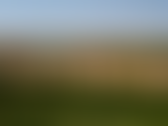 The Role of Environmental Knowledge in Everglades Restoration