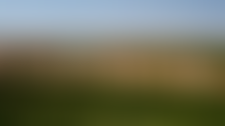The Role of Environmental Knowledge in Everglades Restoration