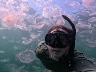 The Everglades: Beneath the Surface Follows A Photographer’s Journey Capturing the Perfect Shot