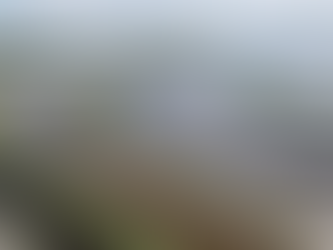 Massive Everglades reservoir project moves forward with 2029 target