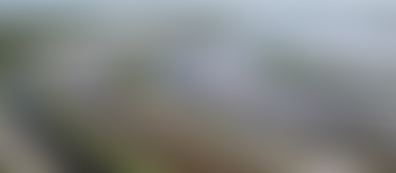 From Vision to Reality: Marking 25 Years of Everglades Restoration