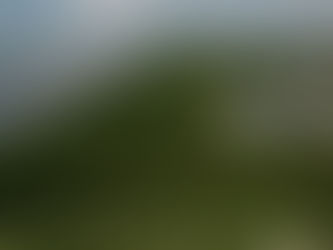 Urban Development Boundary Preserved during Florida's Legislative Session