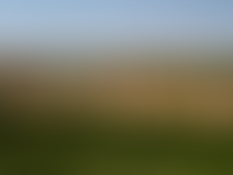 Coalition of South Florida leaders calls for veto of pro-development bill