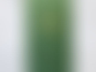 What is the Bodhisattva Who Reflects the Sounds of the World