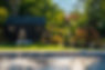 DSC07513.jpeg