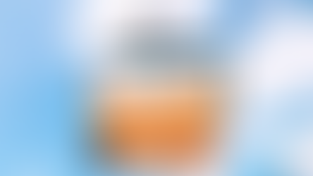 Do Disney Timeshares Require Florida Probate? What Owners and Families Should Know