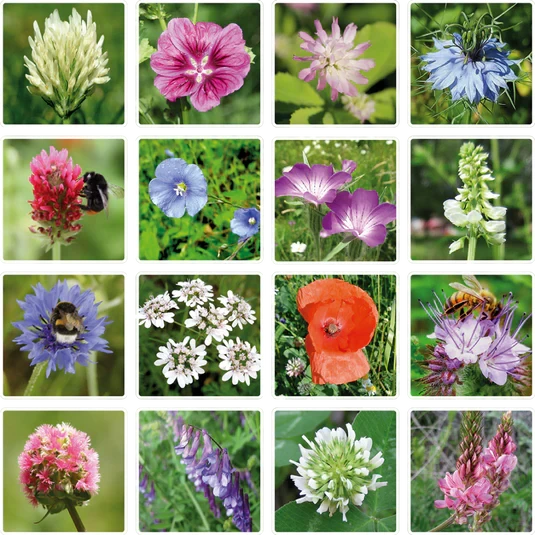 Raster van zestien diverse bloemen, enkele met bijen