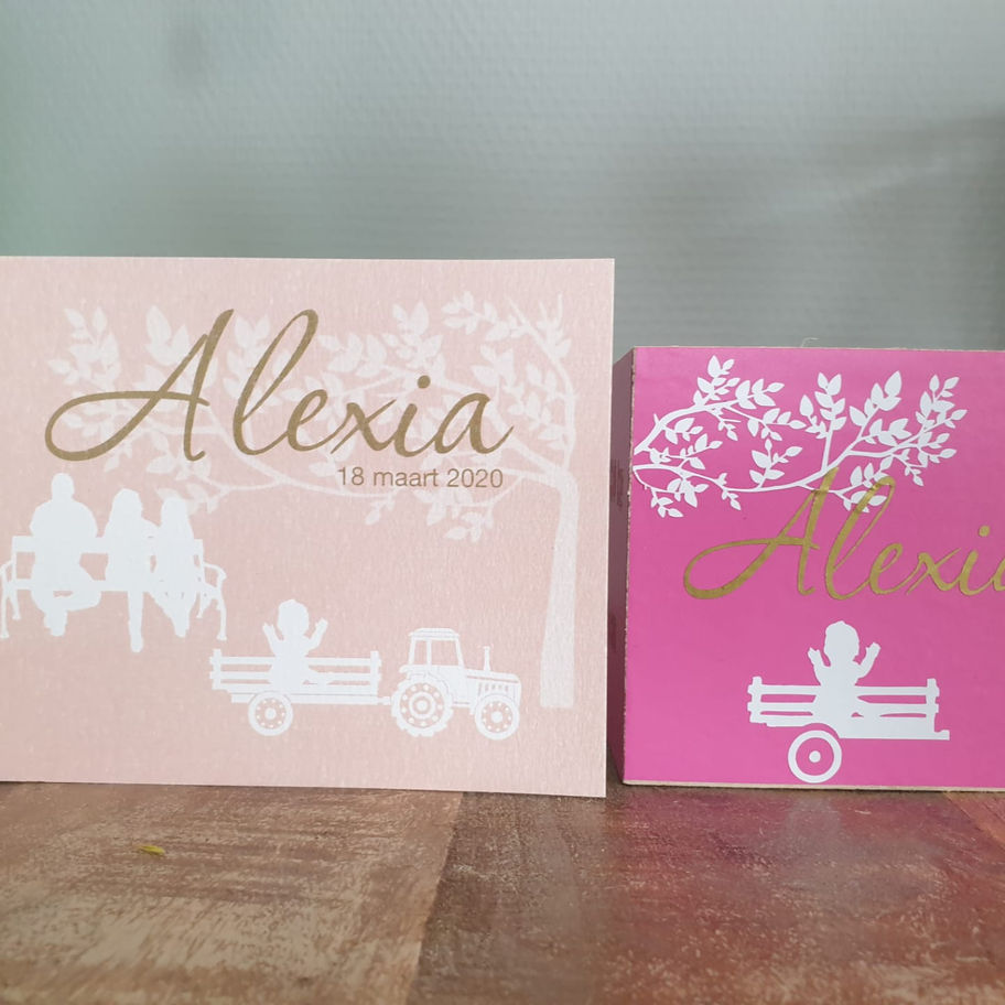 Gepersonaliseerde houten spaarpot gebaseerd op geboortekaartje naam datum kleuren