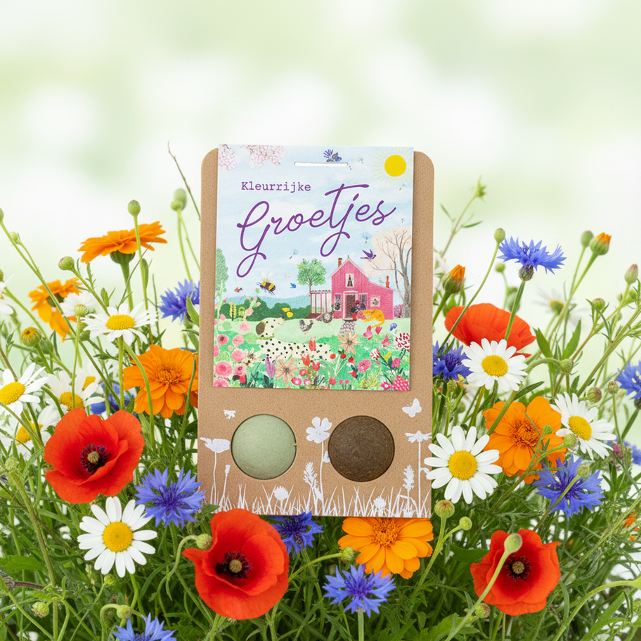 Blossombs blister groetjes 2 bloembommetjes klein cadeau