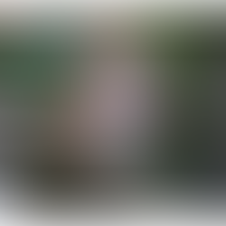 Photojournalism: Bird Safari