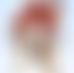 Bearcats on break: What were WU students up to this winter?