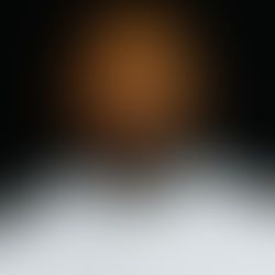 Laying a foundation: Aric Williams’ plans for Willamette football