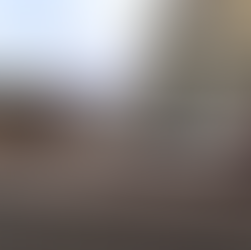 PNCA campus to be rolled on logs to Salem