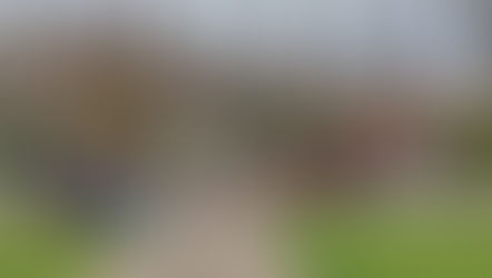 Photojournalism: TIRED. Collective Walkout