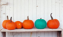 Un Halloween INDIMENTICABILE!