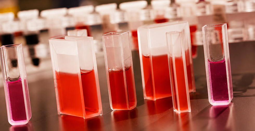 Optical Testing Services