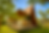 20250813_1248_Luxury Architectural Retreat_remix_01k2h4h5mten8bp2aktmy5wv1z (1).png